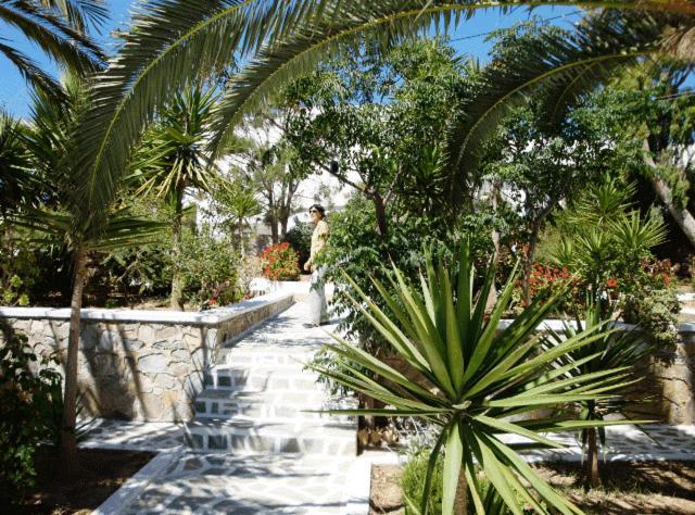 Villa Maria Vekri Koufonisia Dış mekan fotoğraf